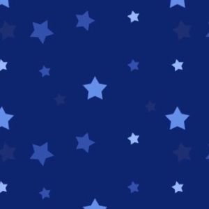 Meet your Posher, Jazlin quezada